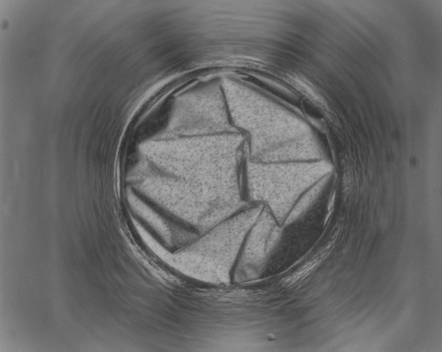 X0000062130940200601060854