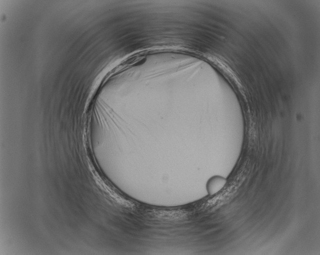 X0000062130941200601060854