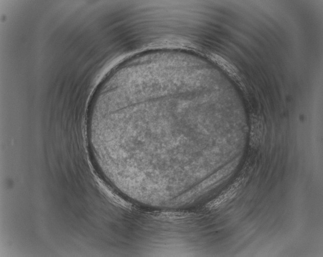 X0000062130942200601060854