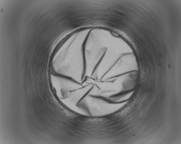 X0000062130943200601060854