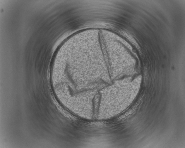 X0000062130944200601060854