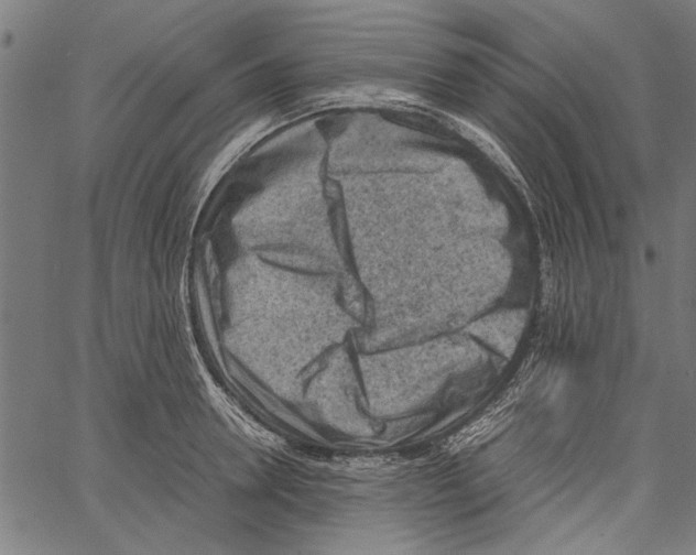 X0000062130946200601060854