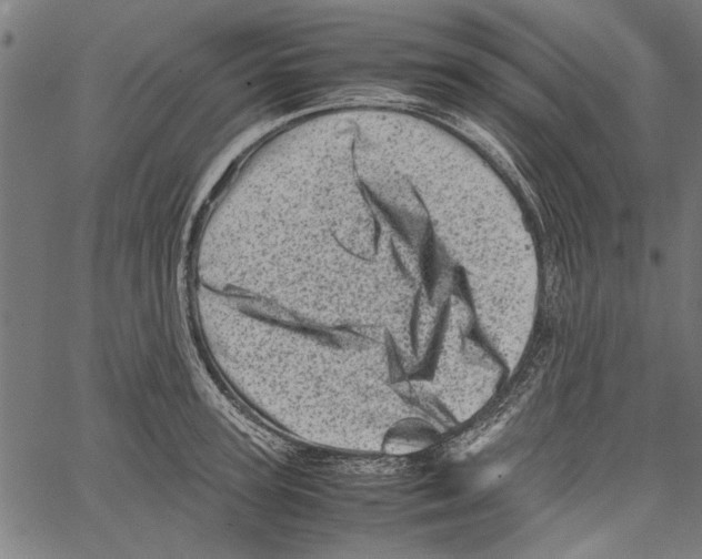 X0000062130947200601060854