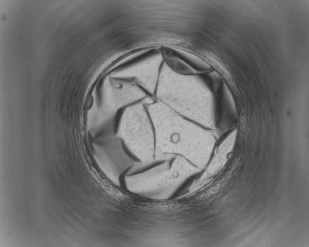 X0000062130948200601060854