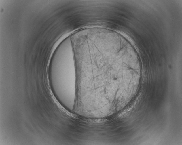 X0000062130949200601060854