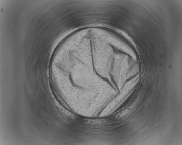 X0000062130951200601060854