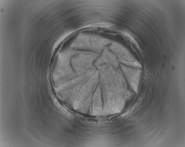 X0000062130952200601060854