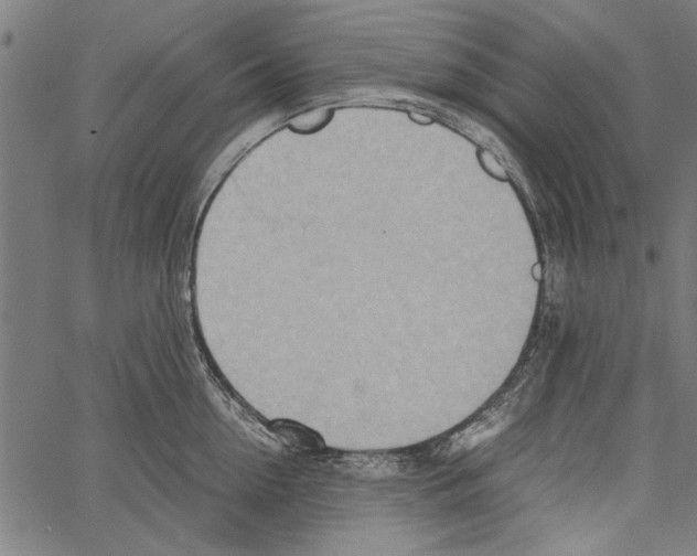 X0000062130954200601060854