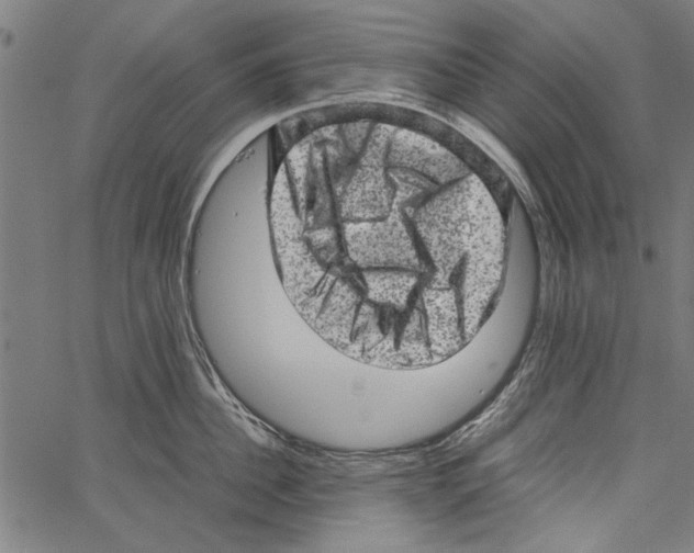 X0000062130956200601060854