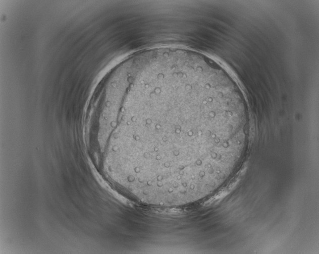 X0000062130957200601060854