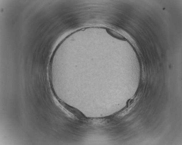 X0000062130958200601060854