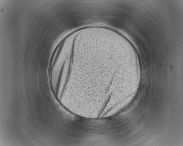 X0000062130959200601060854