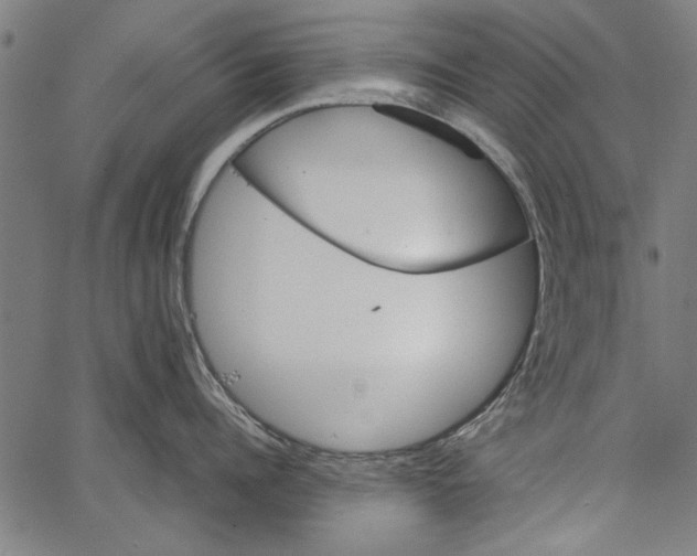 X0000062130960200601060854