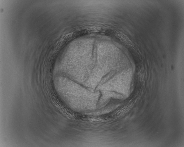 X0000062130961200601060853