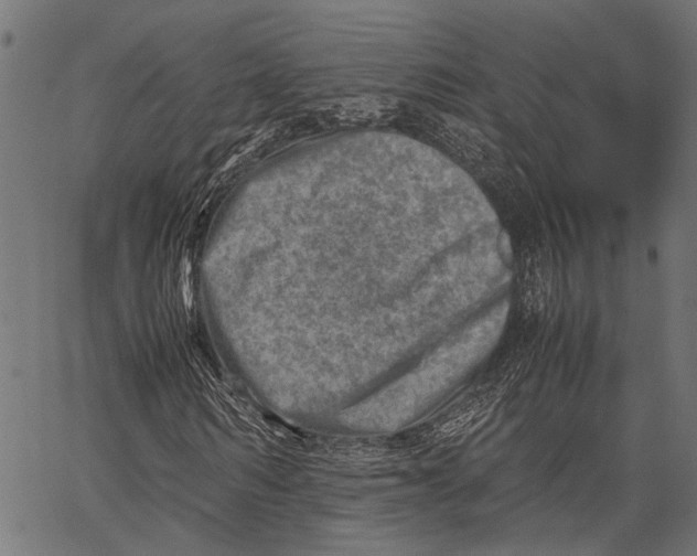 X0000062130962200601060853