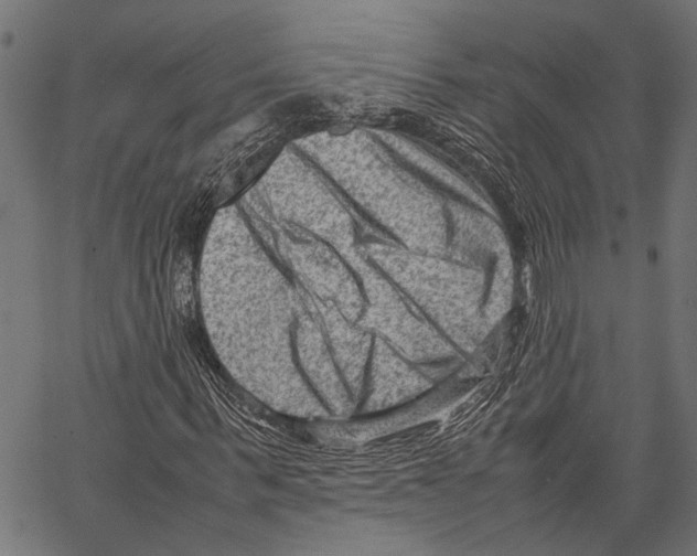 X0000062130963200601060853