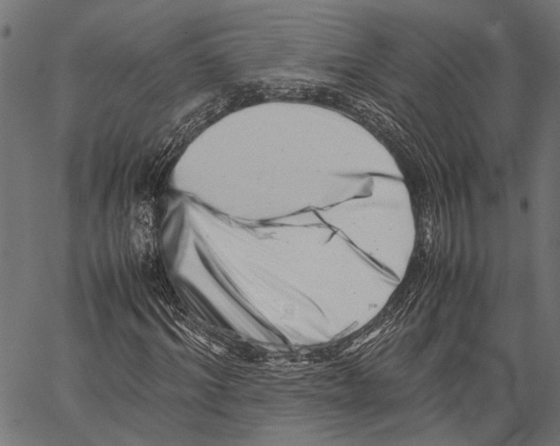 X0000062130964200601060853