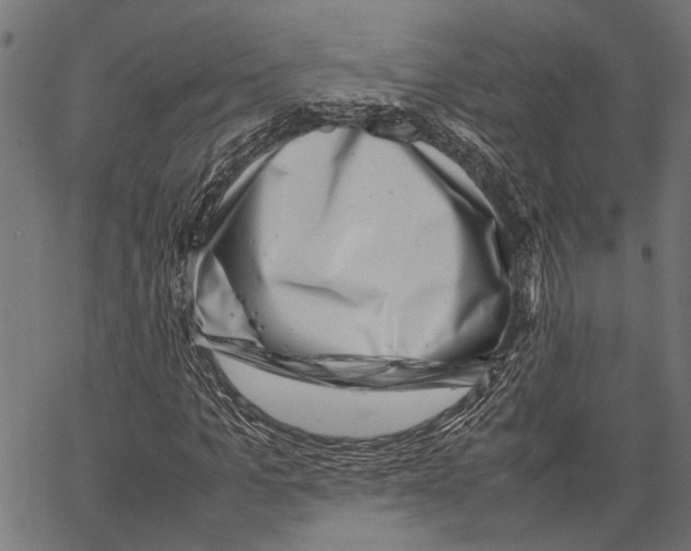 X0000062130965200601060853