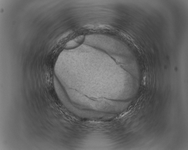 X0000062130966200601060853