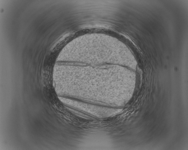 X0000062130967200601060853