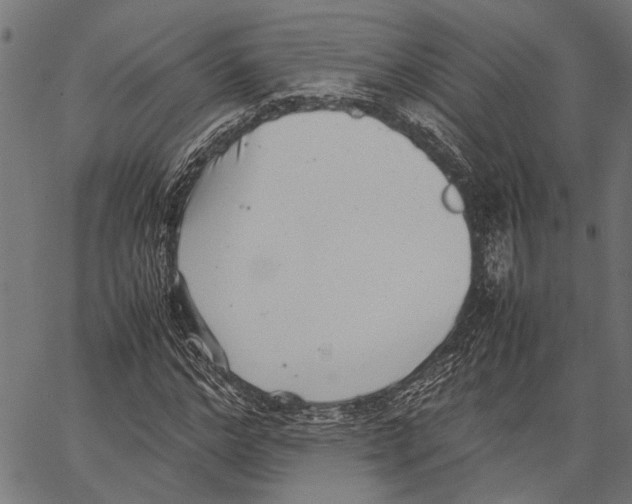 X0000062130968200601060853