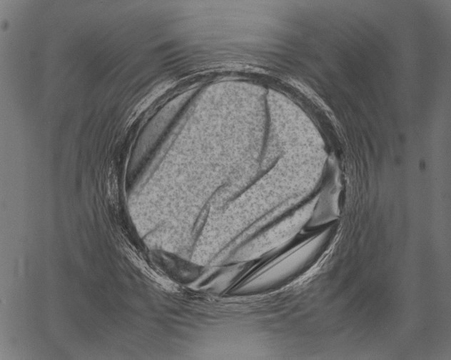 X0000062130969200601060853