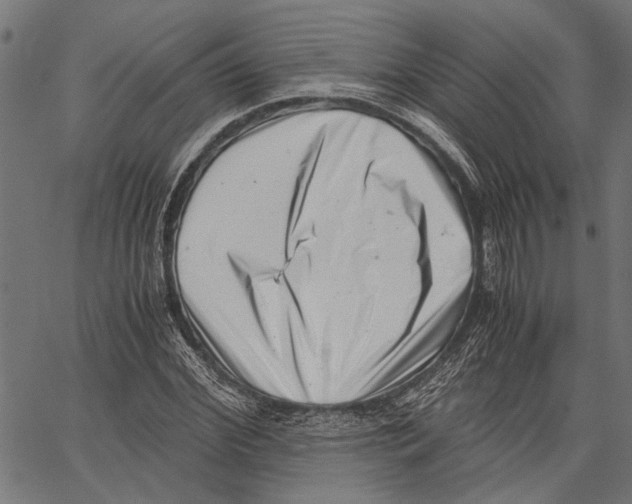 X0000062130972200601060853