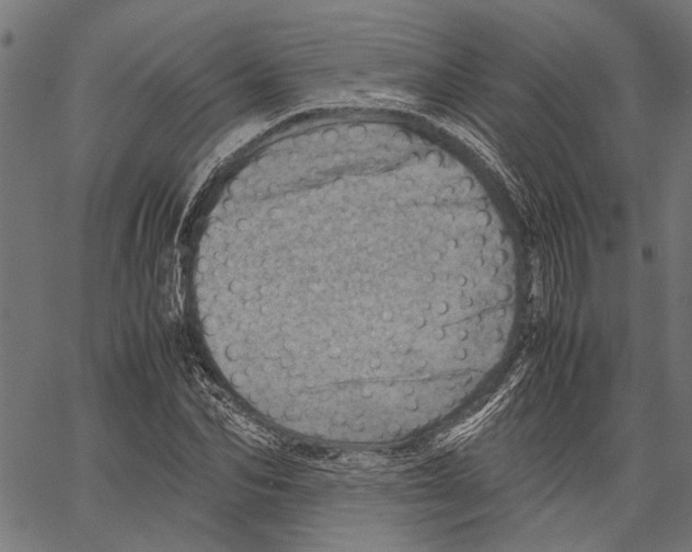 X0000062130974200601060853