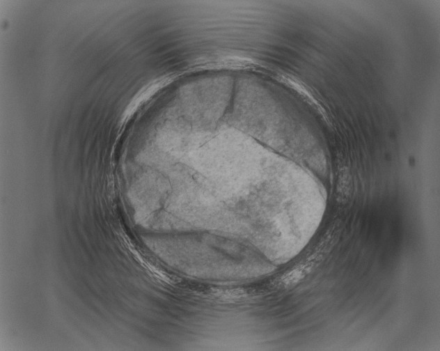 X0000062130978200601060853