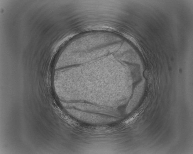 X0000062130979200601060853