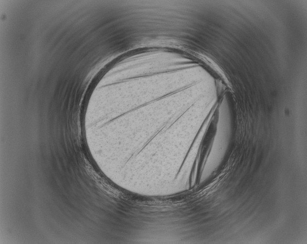 X0000062130980200601060853