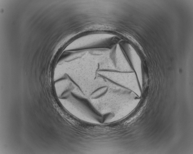 X0000062130981200601060853