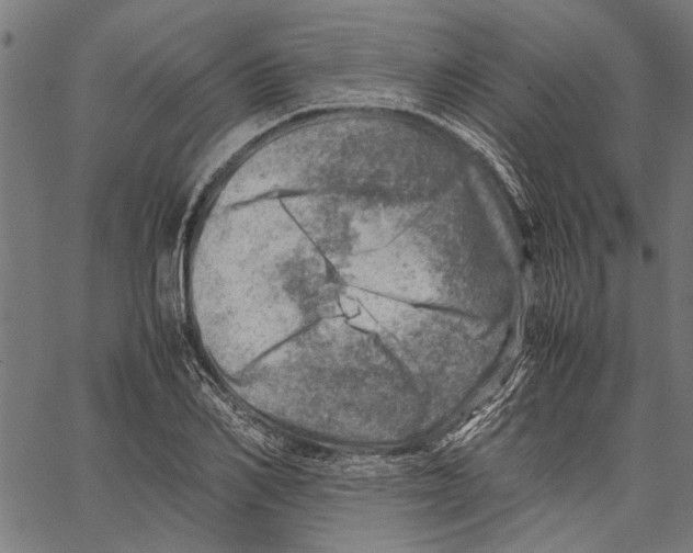 X0000062130982200601060853