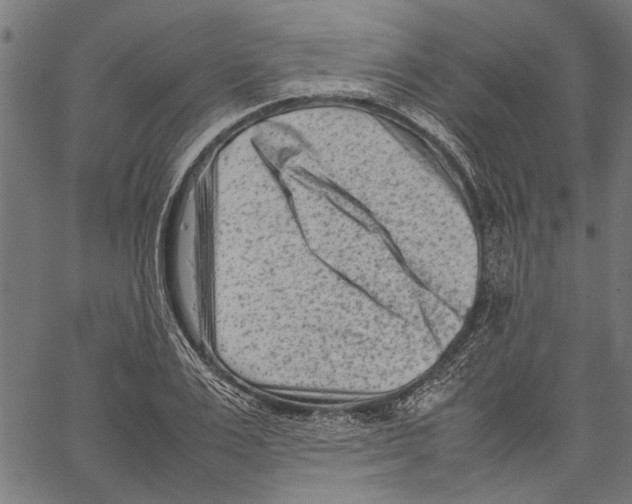 X0000062130983200601060853