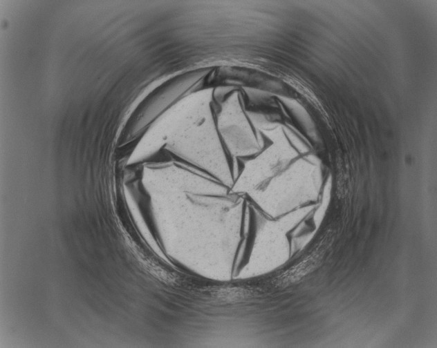 X0000062130984200601060853