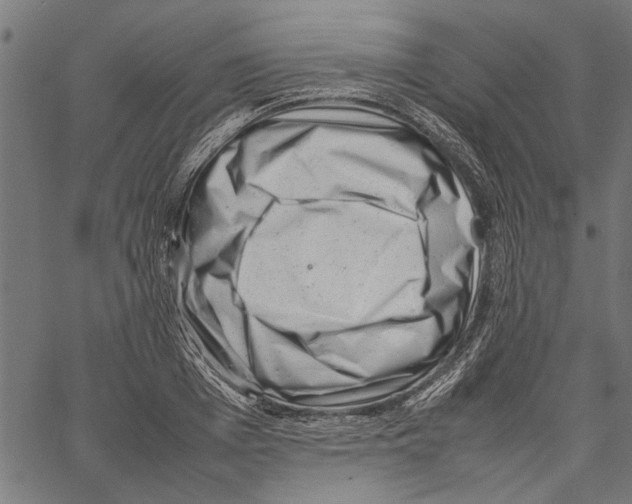 X0000062130985200601060853