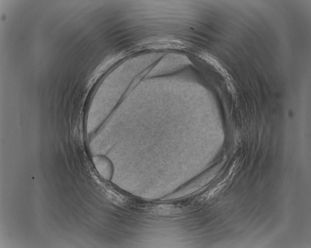 X0000062130986200601060853