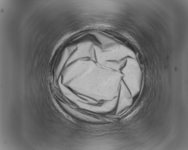 X0000062130989200601060853