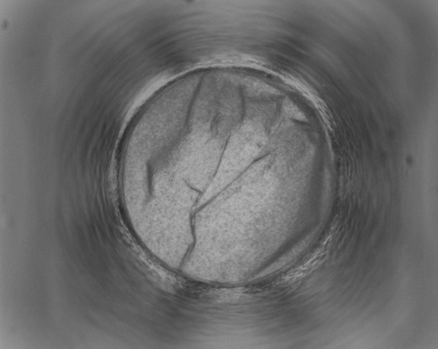 X0000062130990200601060853