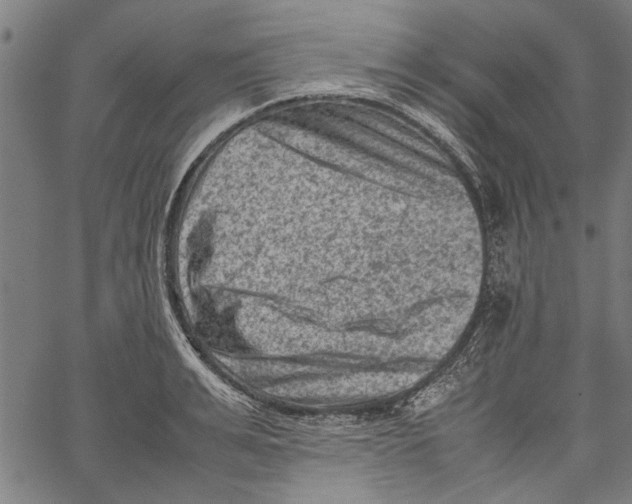 X0000062130991200601060853