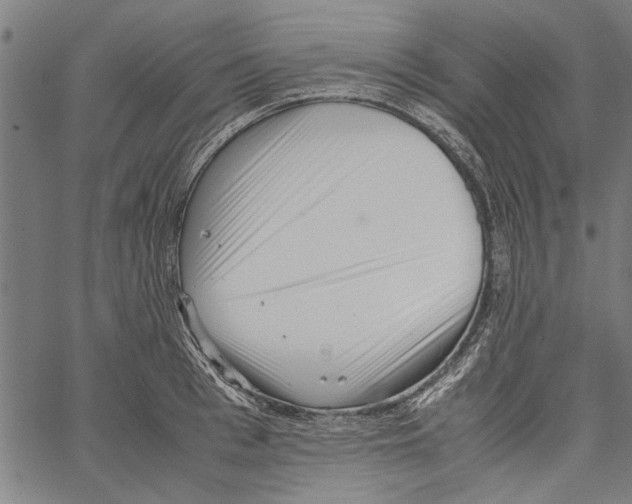 X0000062130993200601060853