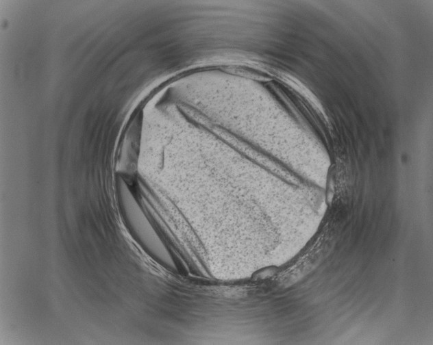 X0000062130996200601060853