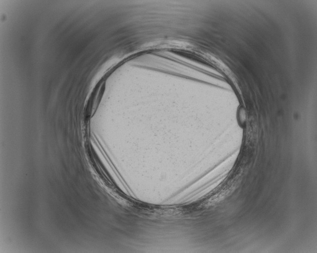 X0000062130997200601060853