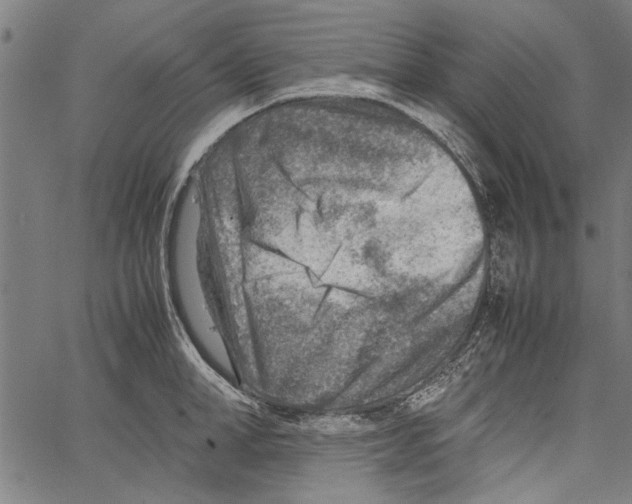 X0000062130998200601060853