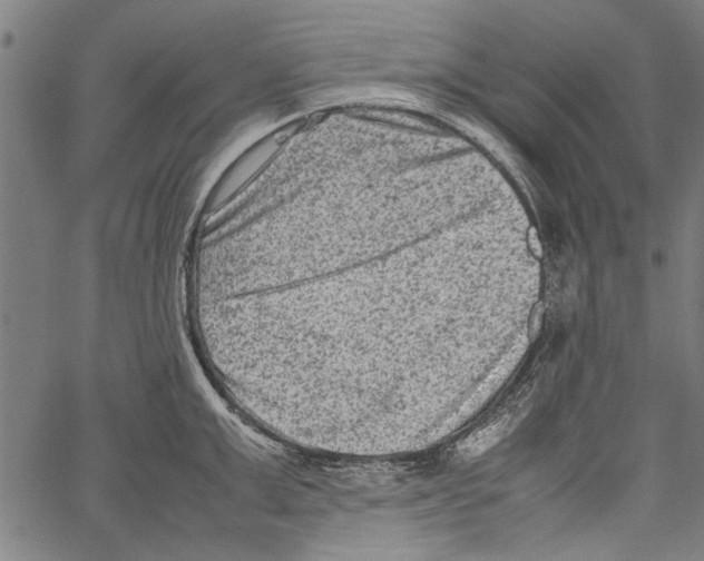 X0000062130999200601060853