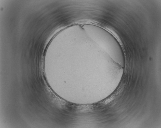 X0000062131000200601060853