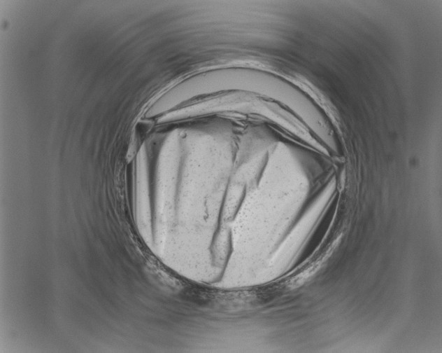 X0000062131001200601060853