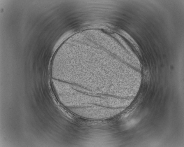 X0000062131002200601060852