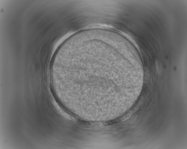 X0000062131003200601060852