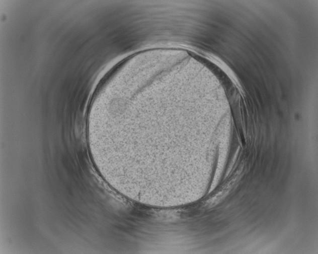 X0000062131004200601060852